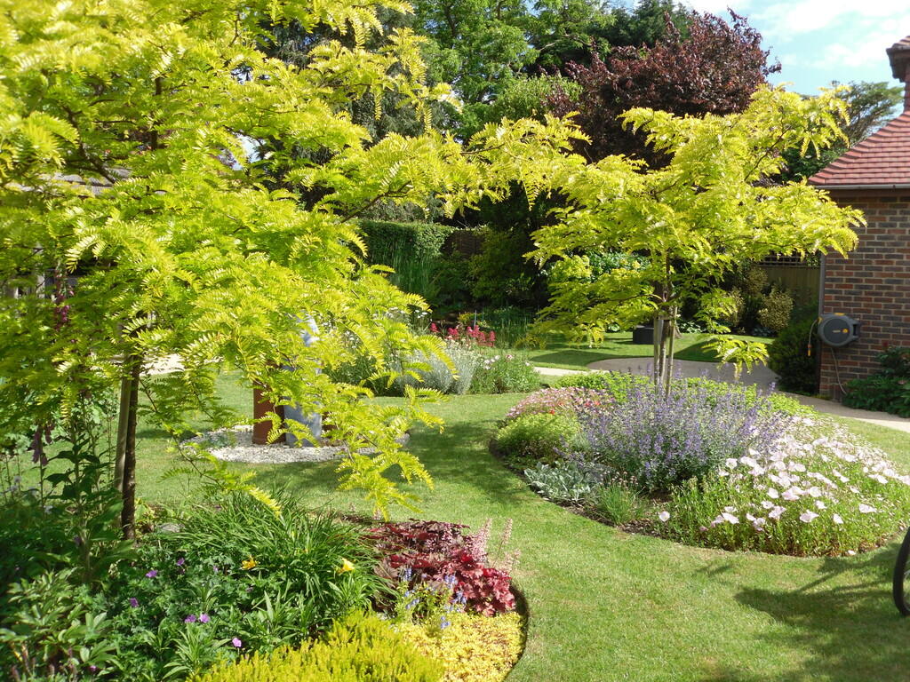 Garden in full bl...