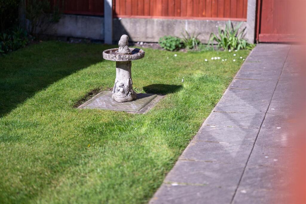 DSC_3872.jpg