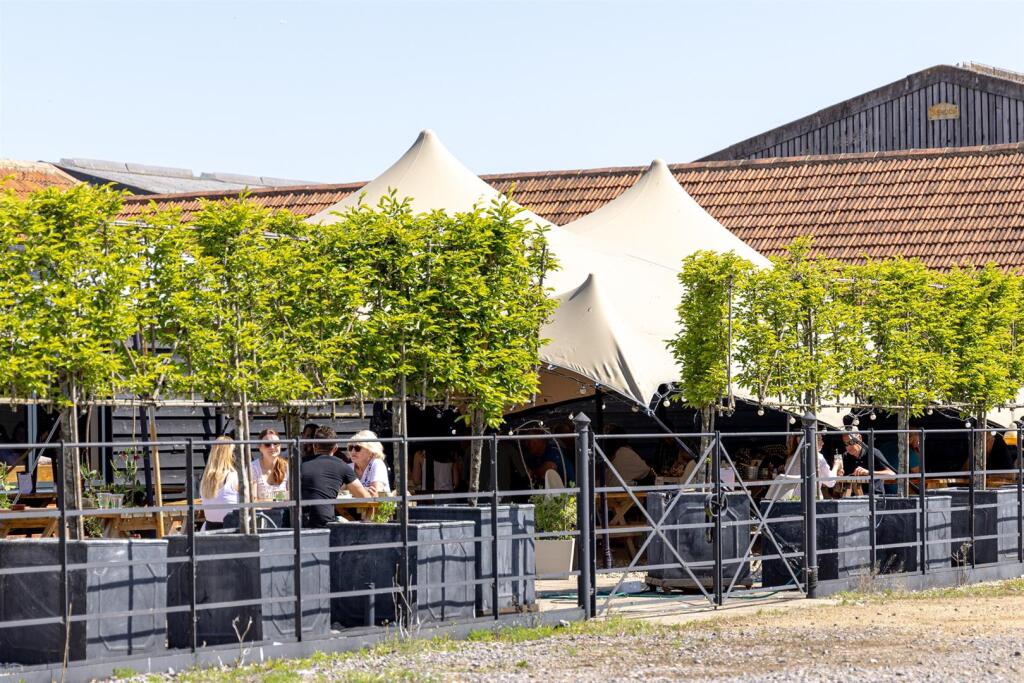 CRE_1908 edit for web.jpg