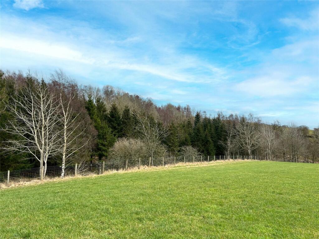 Woodland