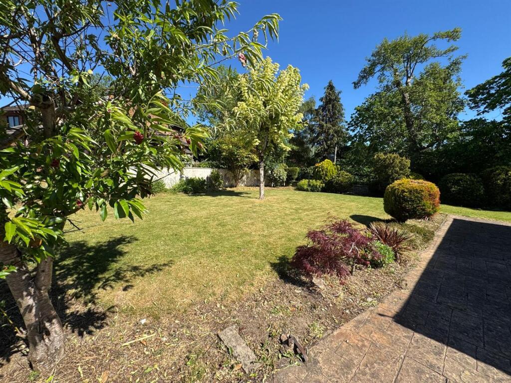 PHOTO-2025-06-10-15-00-38 (1).jpg