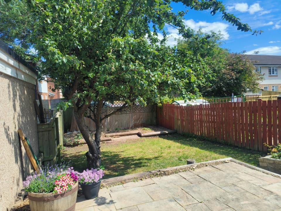 GARDEN.jpg