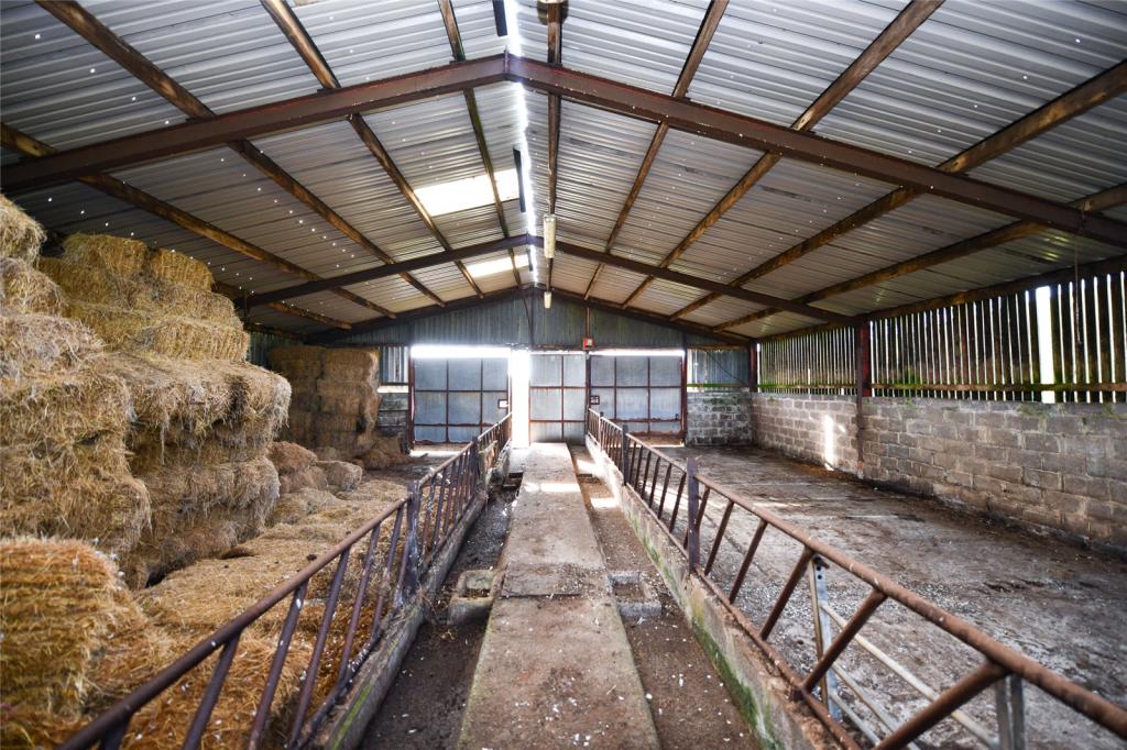 Cattle Court
