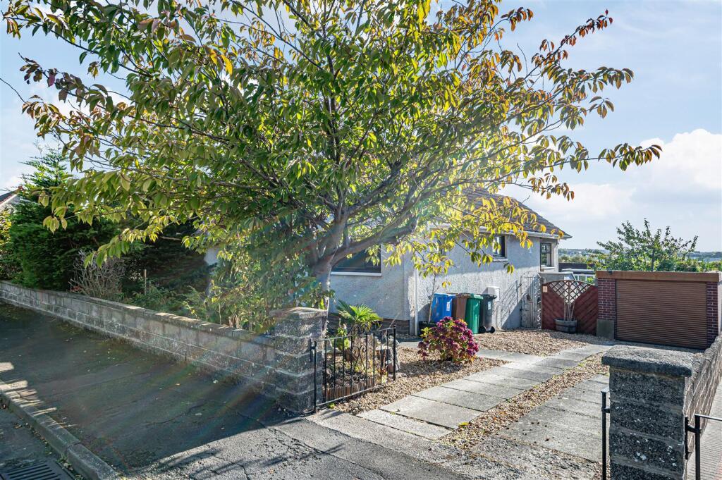 untitled (2 of 1).JPG