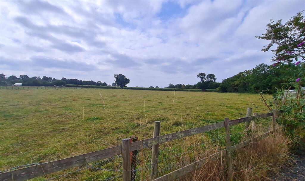 View from the garden.jpg