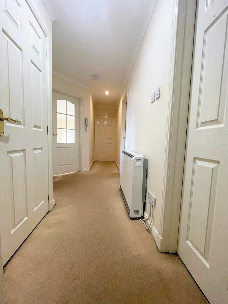 IMG-20250210-WA00...