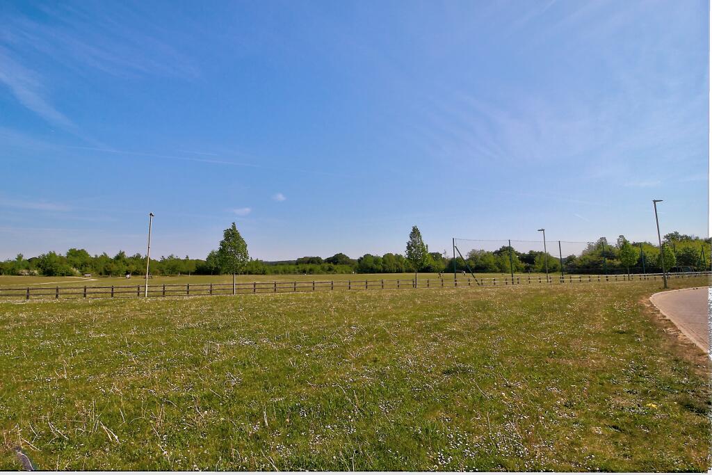 Field view