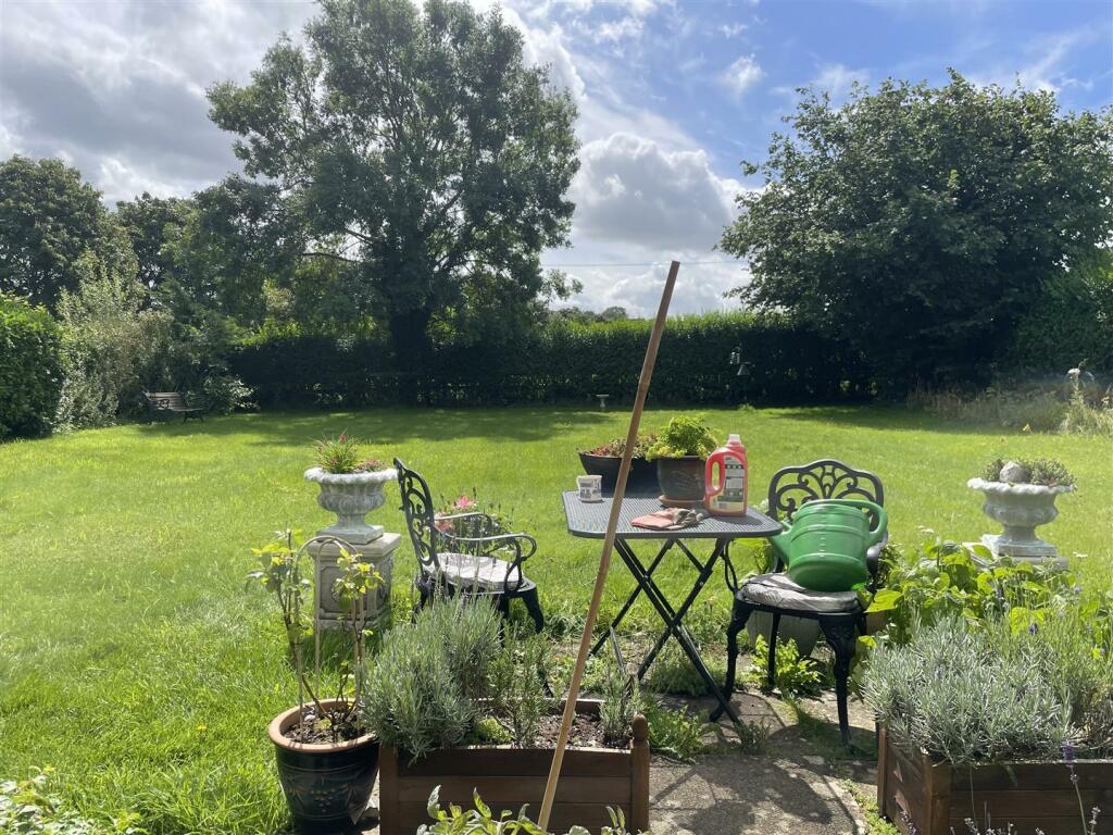 garden.jpg