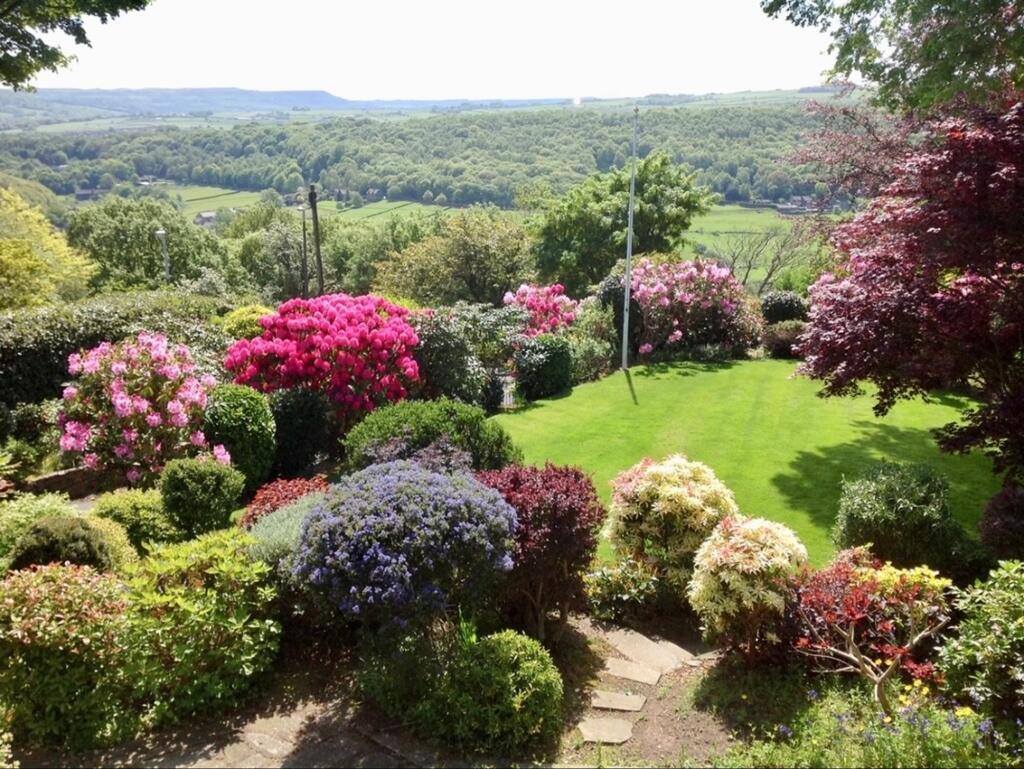 Garden(5)