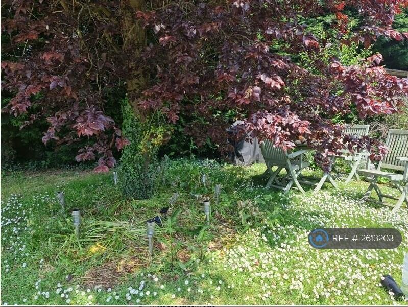 Communal Garden, a Serene Outdoor Space .