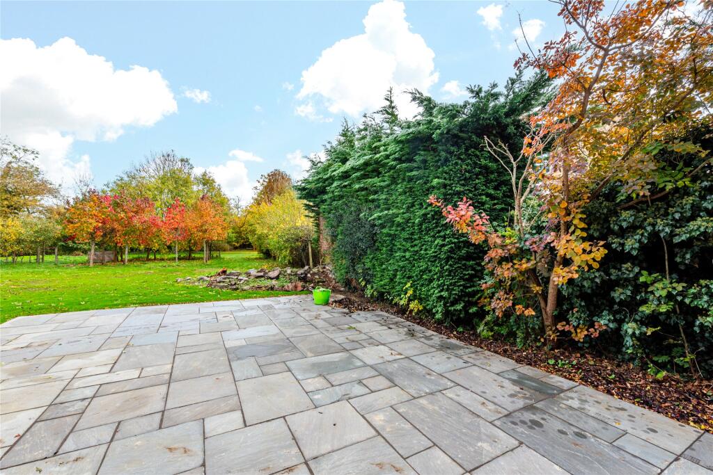 Patio Area