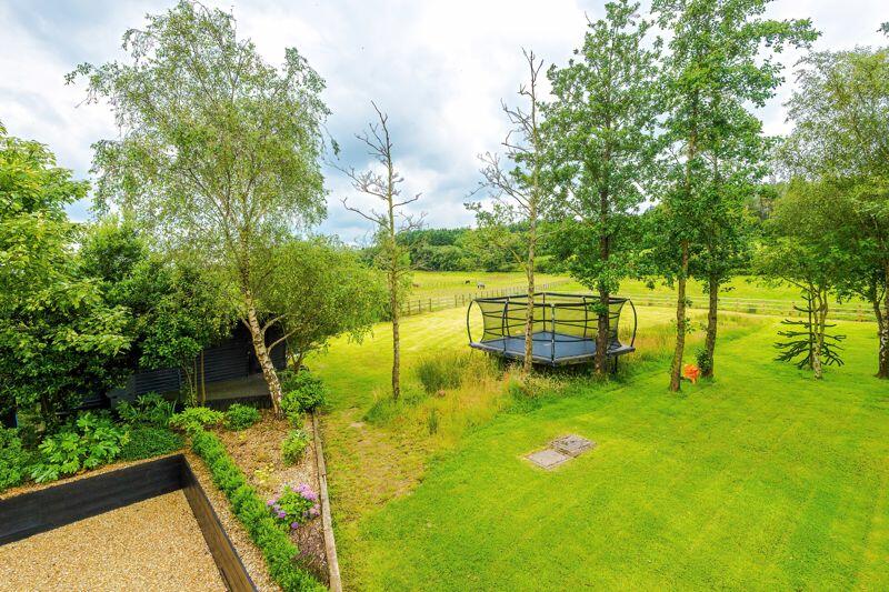 Photo 69
