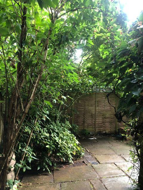 garden 2.jpg
