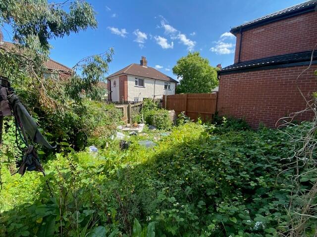 GARDEN T202506191459.jpg