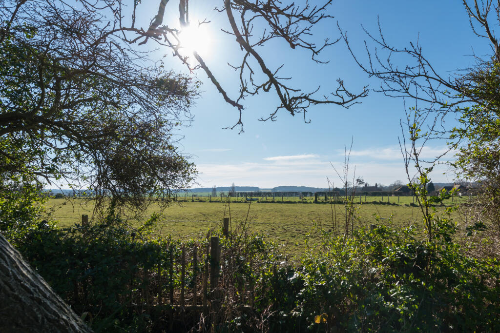 Rother-15