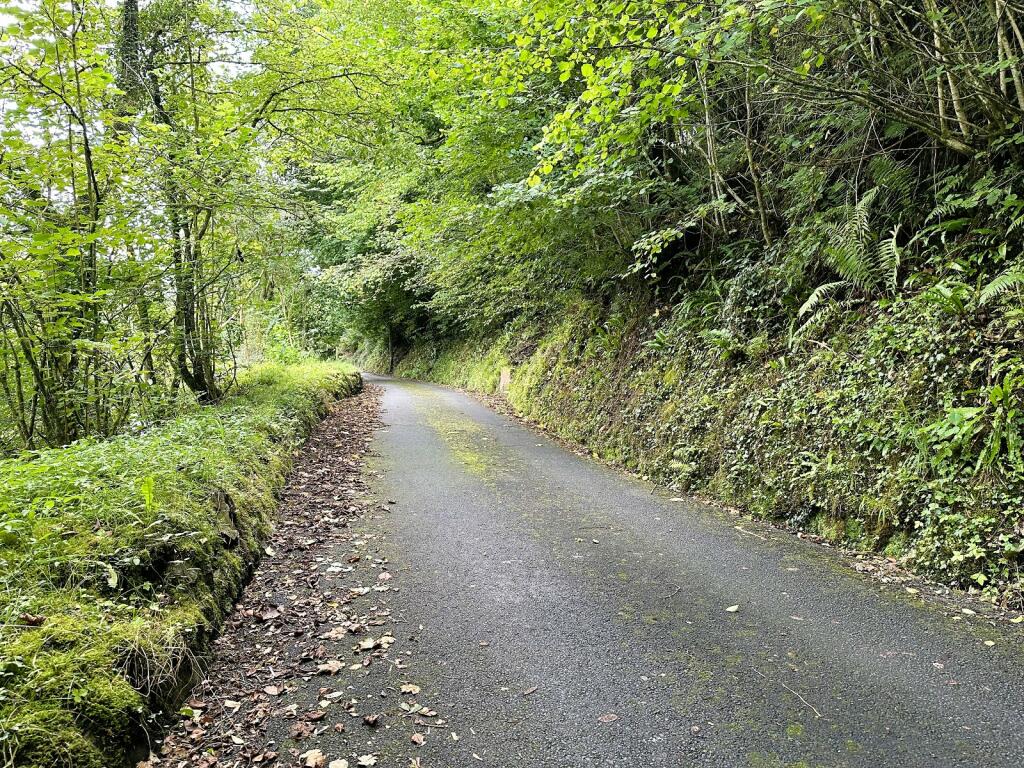 Not Specified