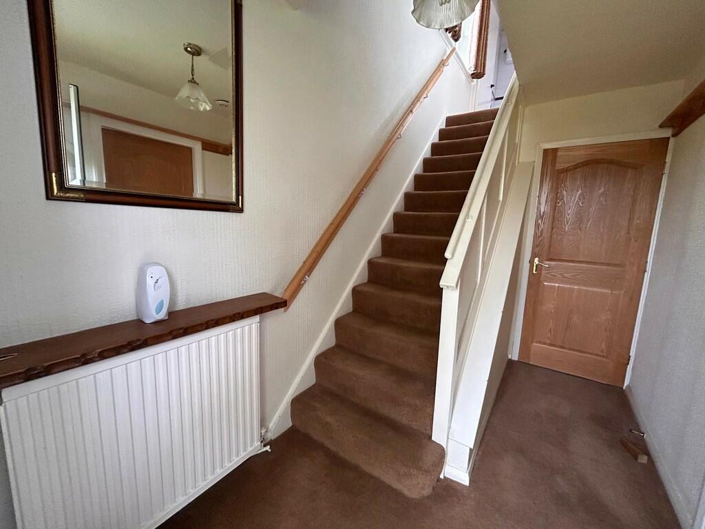 WhatsApp Image 20...