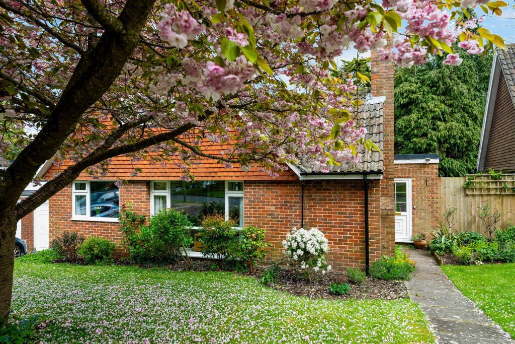 THE RIDINGS, (27).jpg