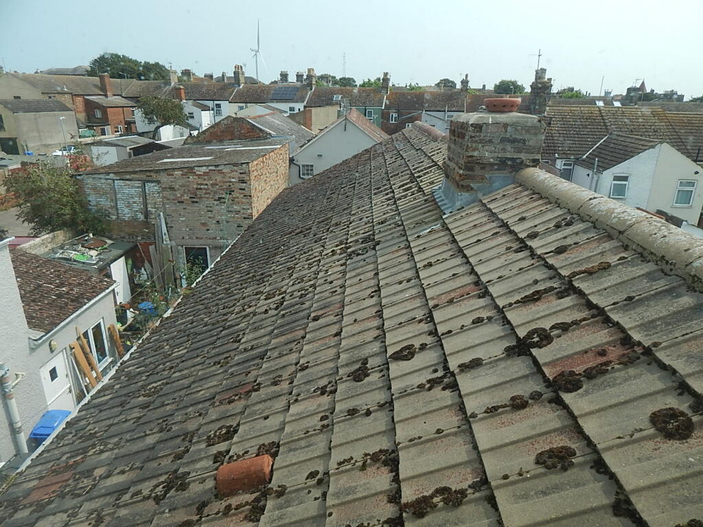 21 T202409161558.jpg