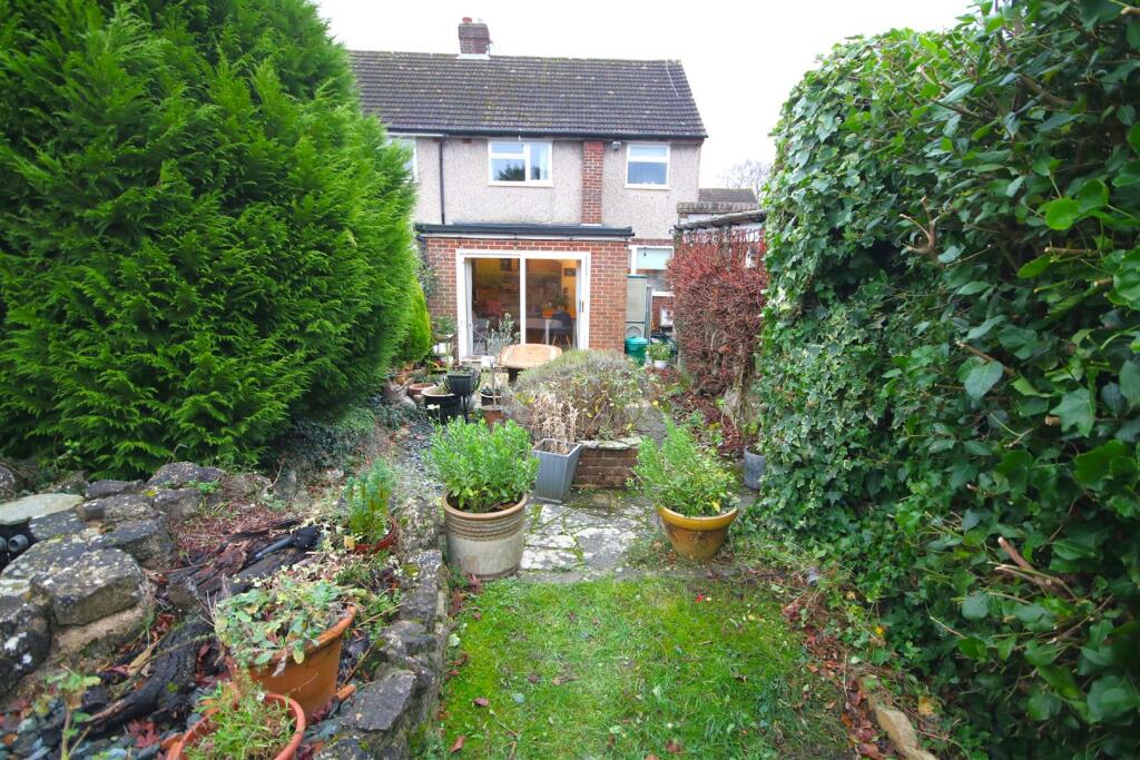 Garden c.JPG