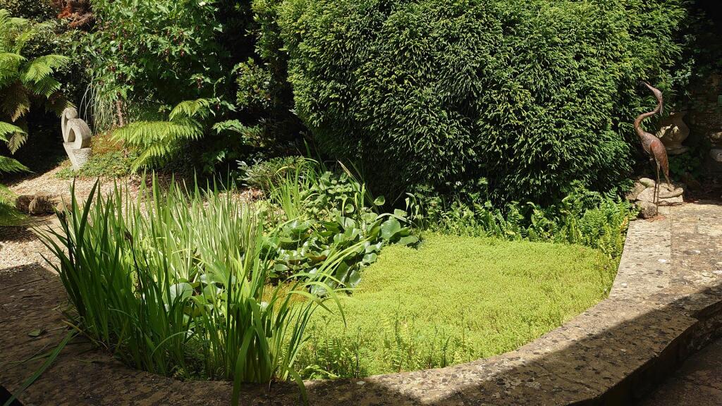 Garden.jpg