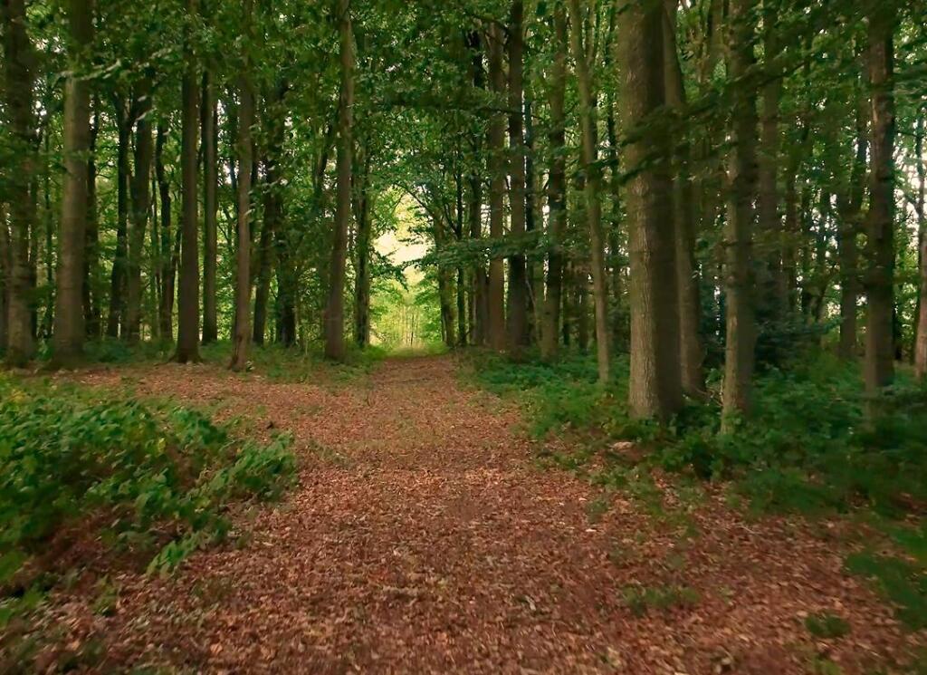 High Clear Barn-44.jpg