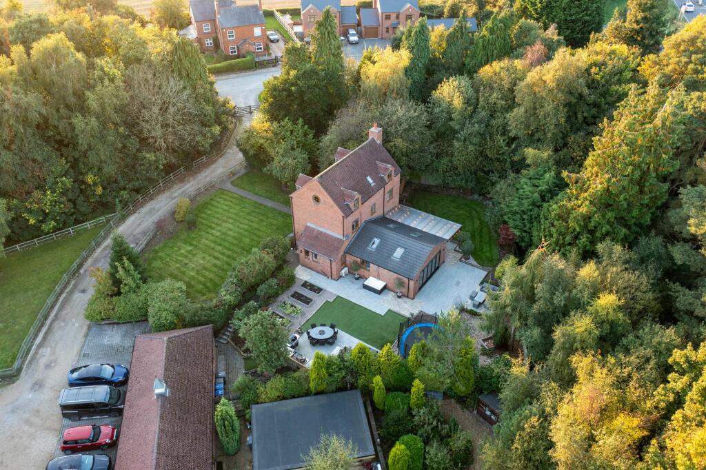 Drone View