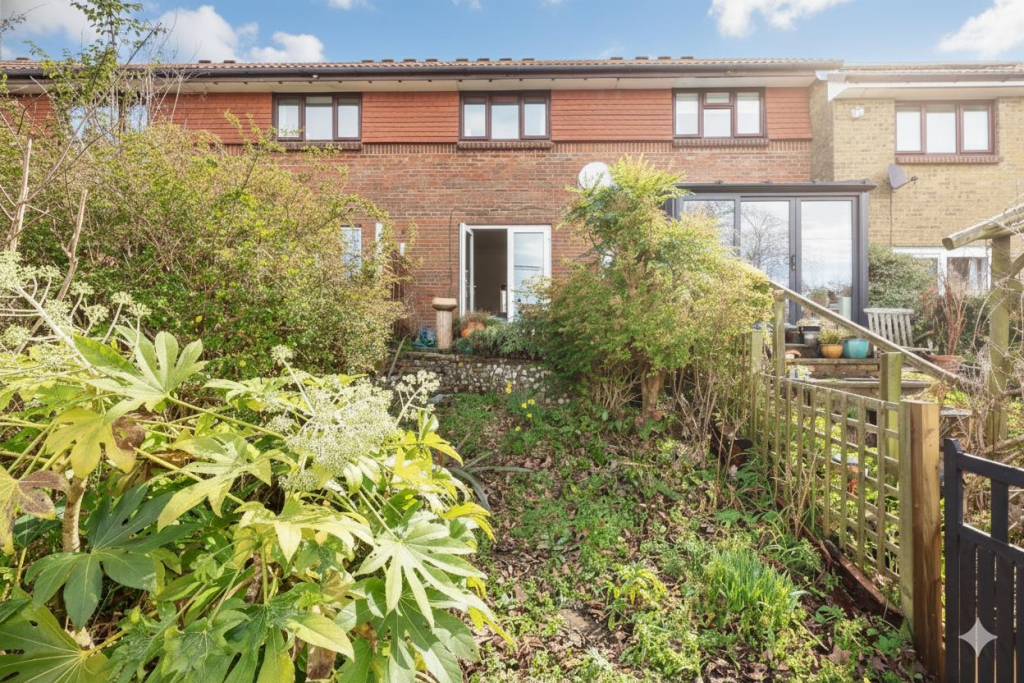 rear of house.png