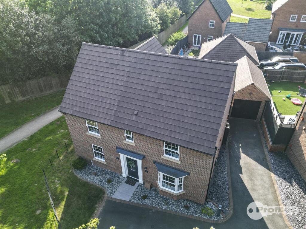 DJI_0305.jpg
