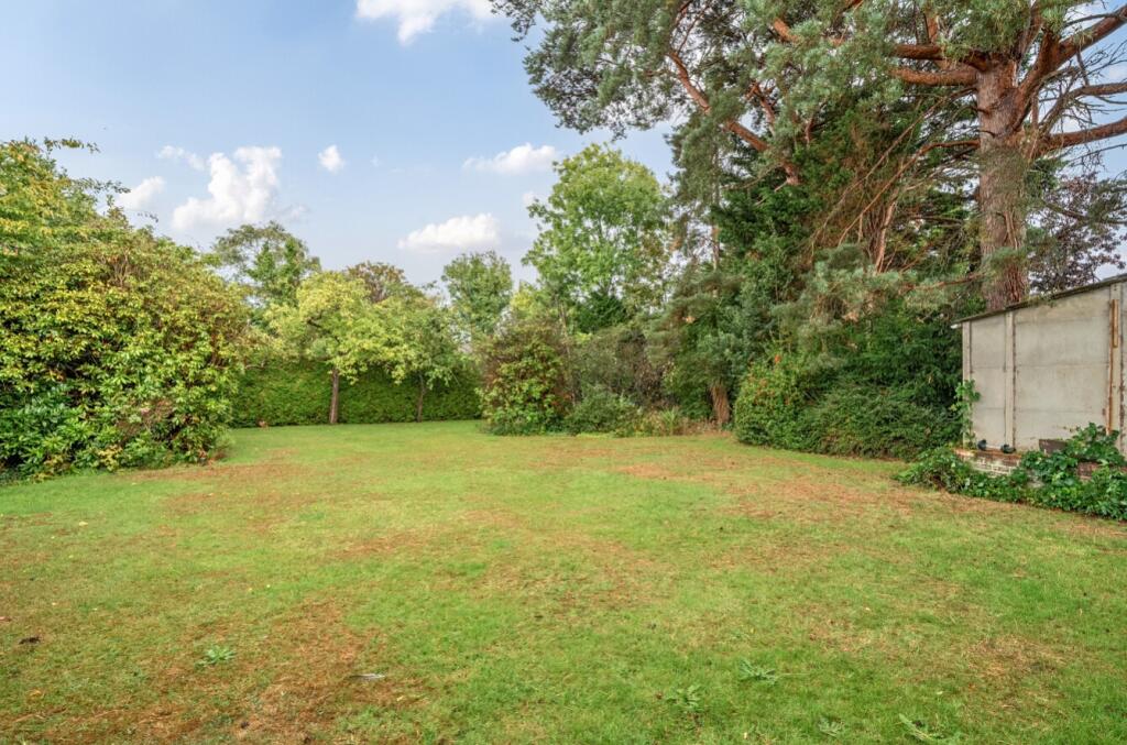 1354169-21-68c2fa824d0b0