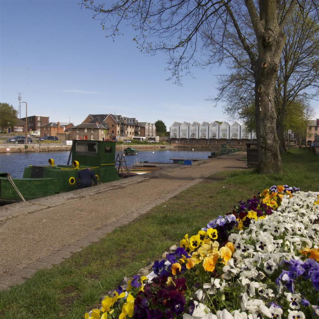 Chichester Canal
