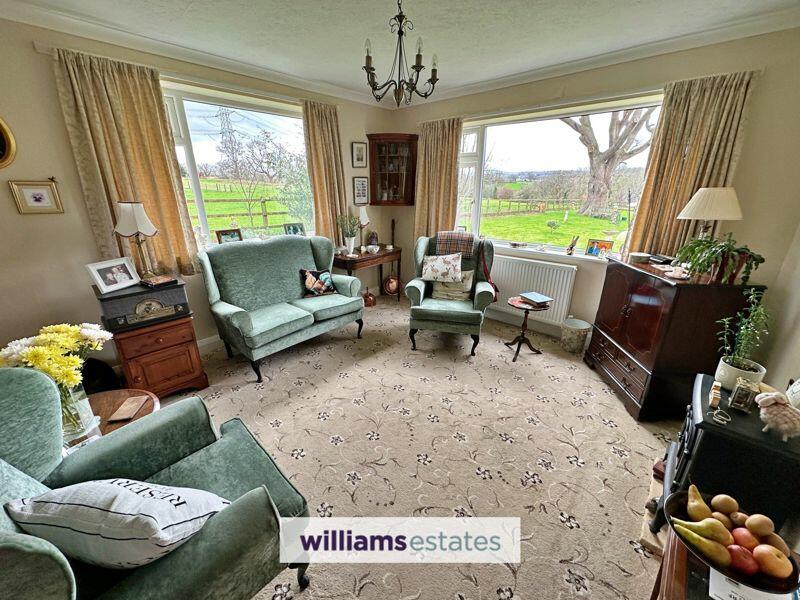 Living Room 2
