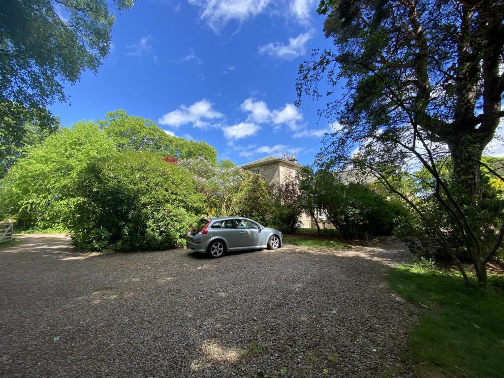 driveway.JPEG