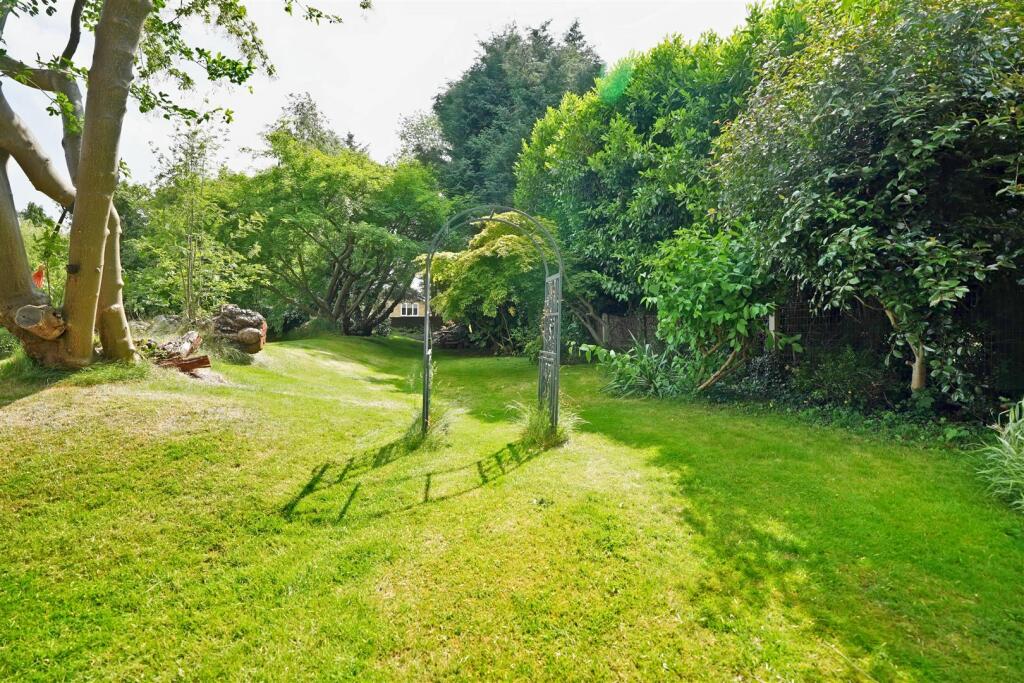 Garden 1.jpg