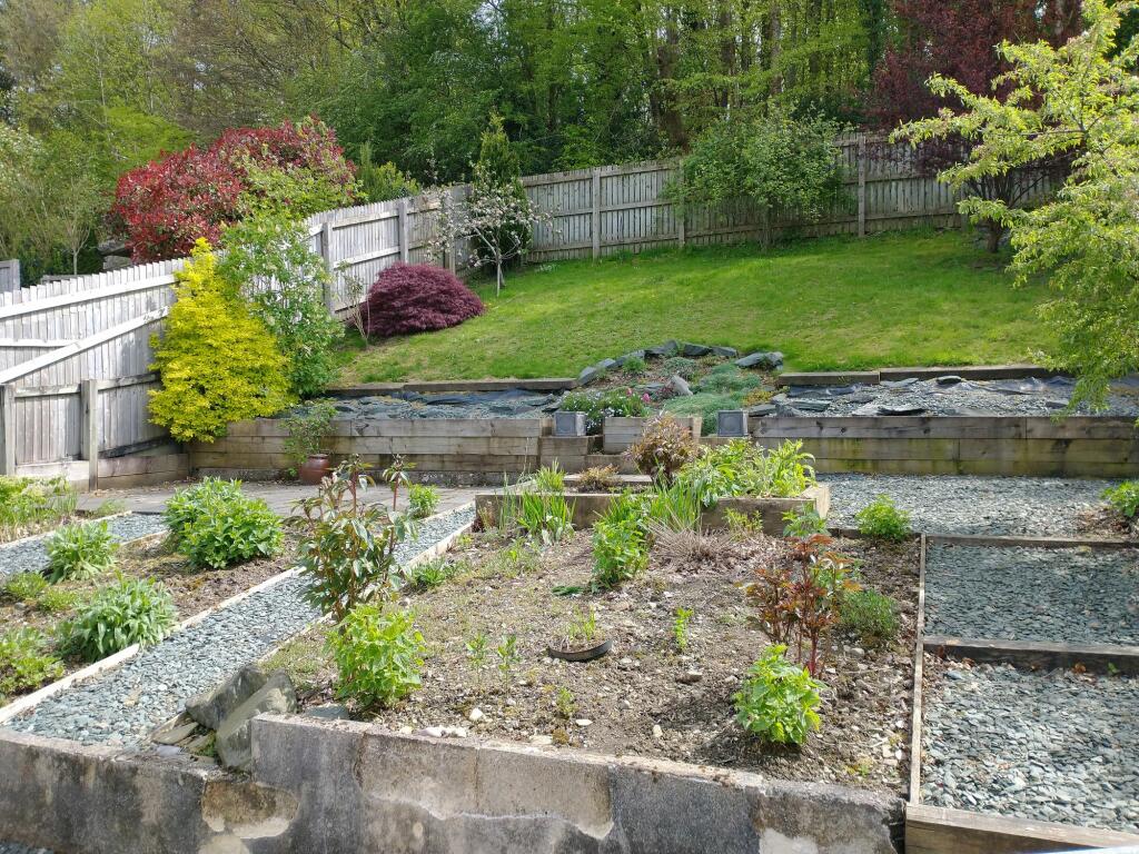 Summer Garden