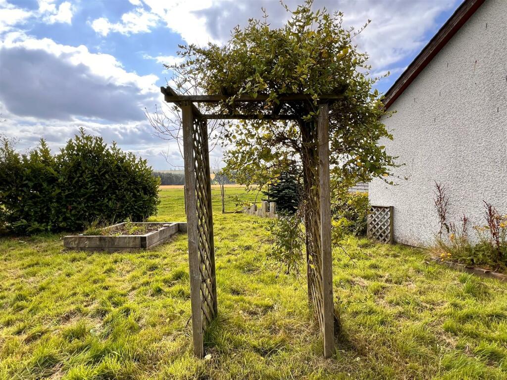 Side garden.jpg