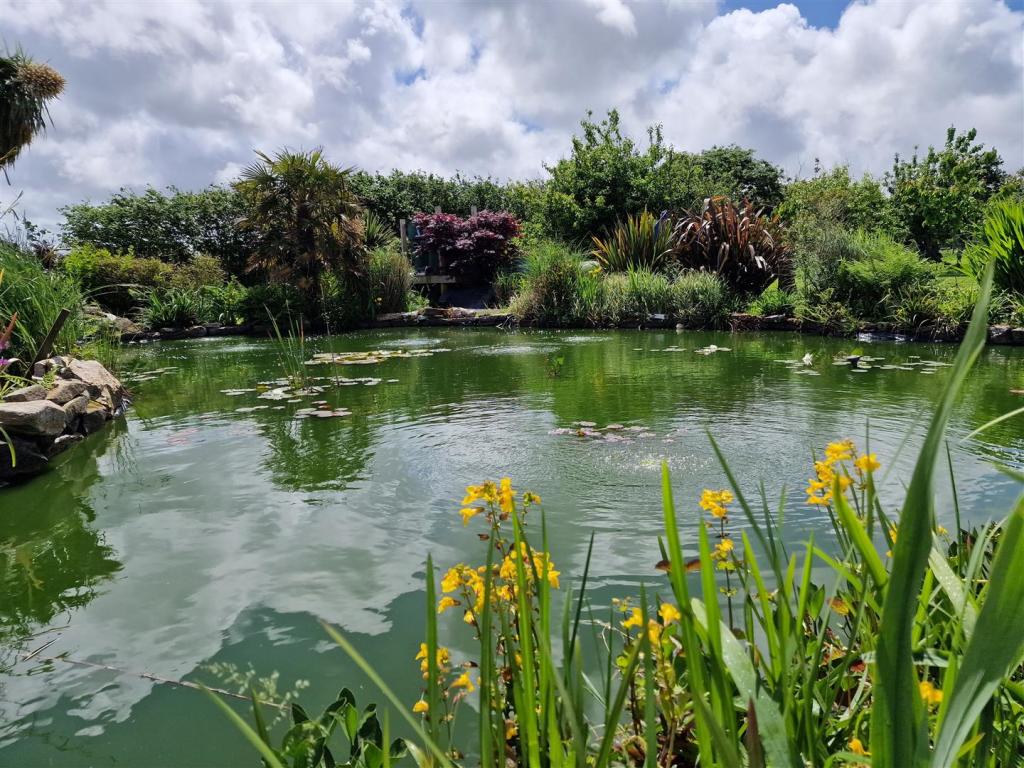 Pond
