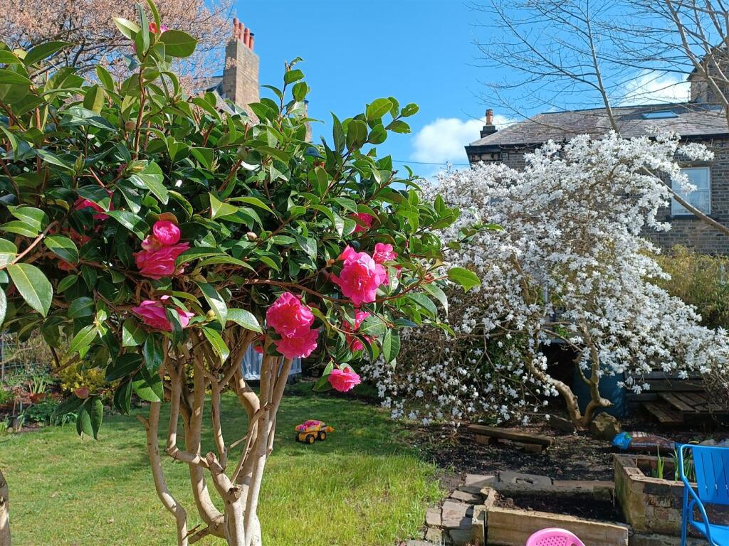 Bramleys Estate Agents - Grasmere Road - Gledholt 