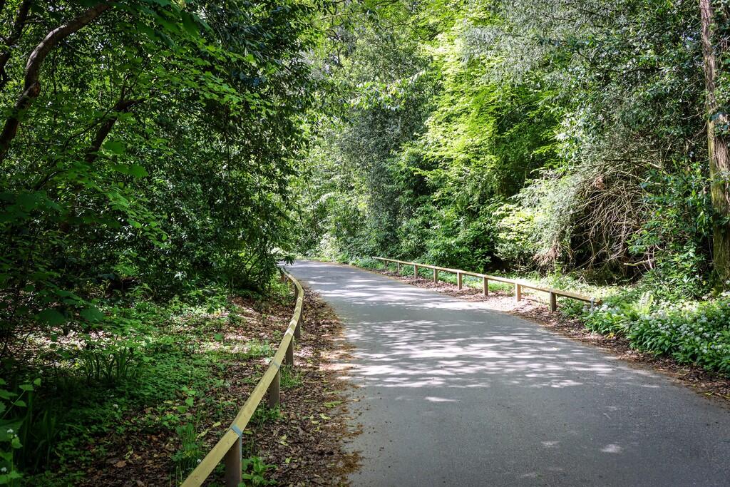 Indio Fields appr...