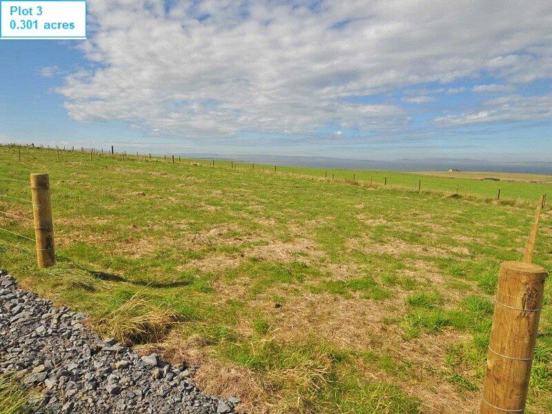 Plot 3