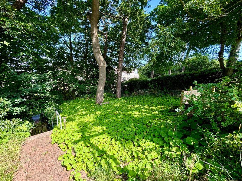 Steps to Wellington Terrace from garden