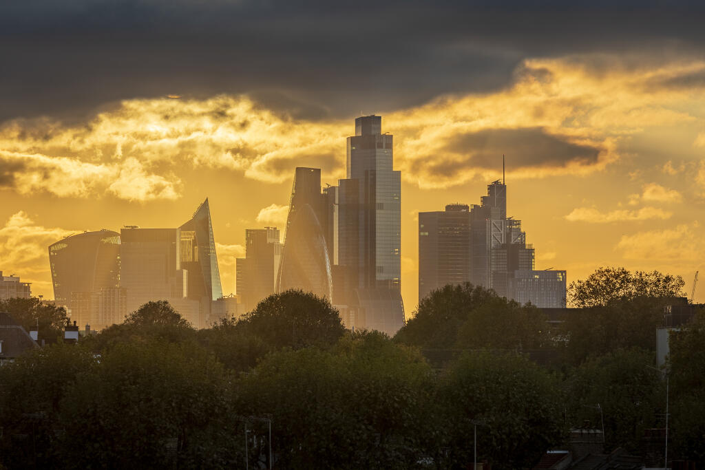 Skyline Views