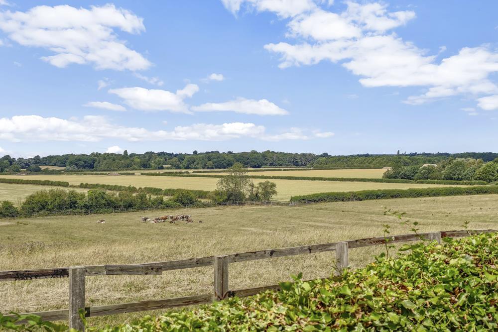 Greensleeves WEB PH-44.jpg