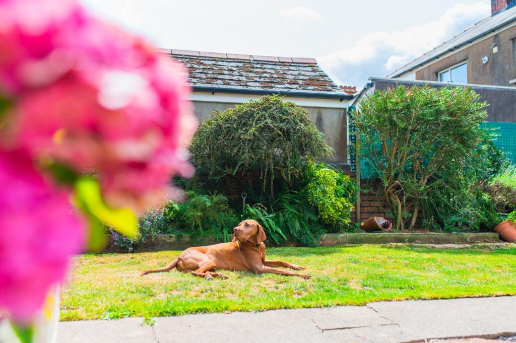 Award-winning Media team on EVERY Listing_21