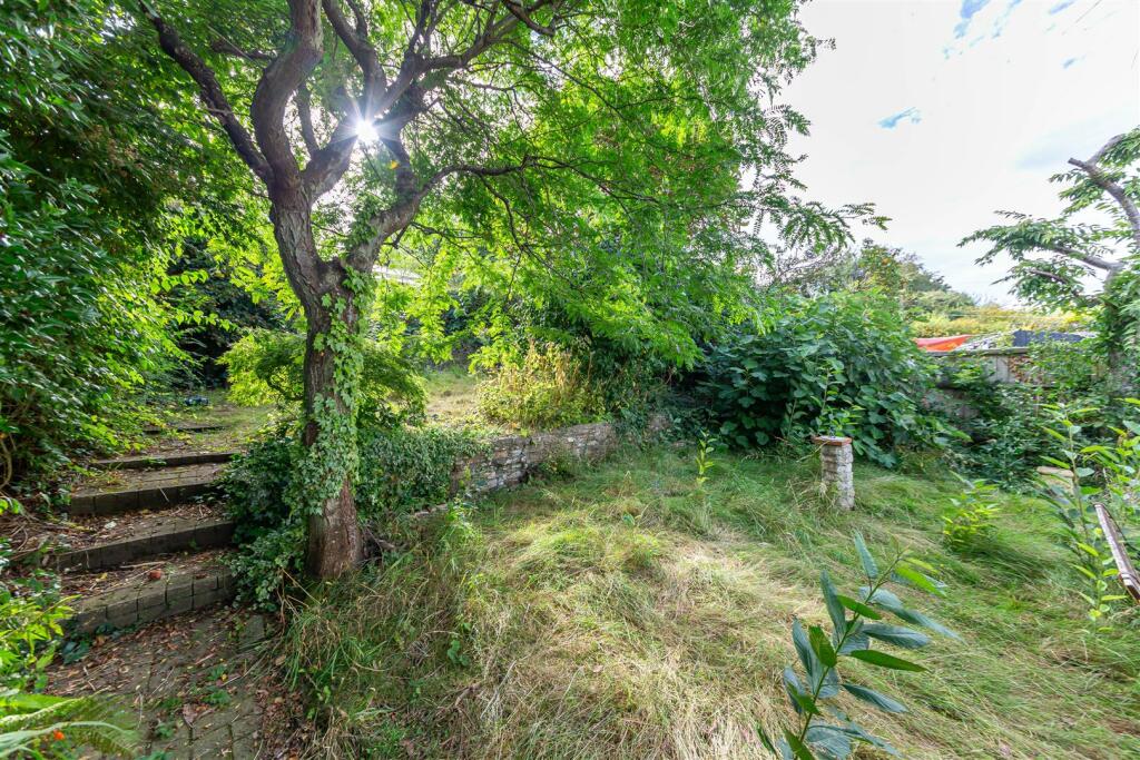 Garden 3