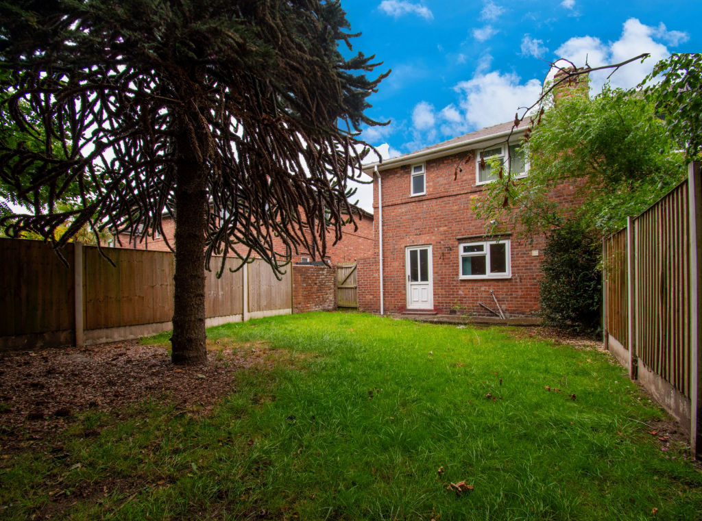 Untitled (5200 x 3900 px) (5200 x 3450 px) (5)