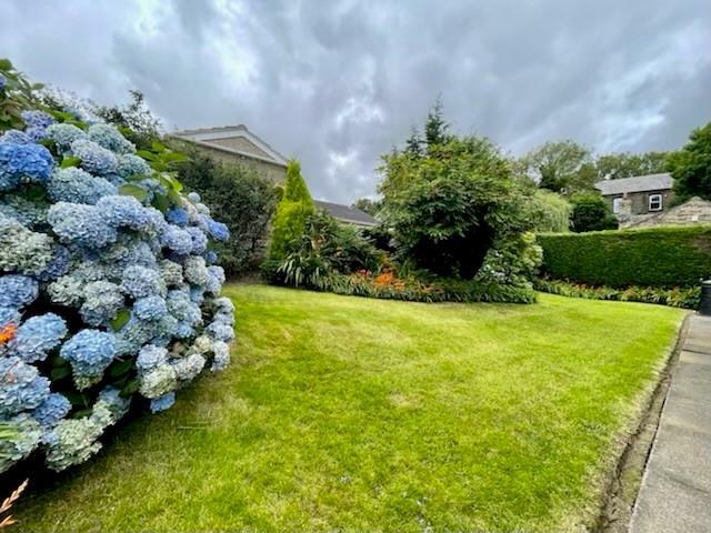 new side garden.jpg