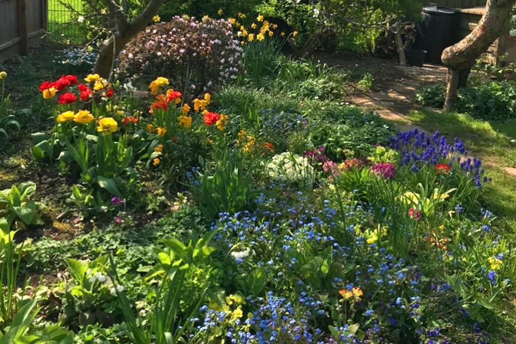 thumbnail_32HazelmereRd_Garden2.jpg