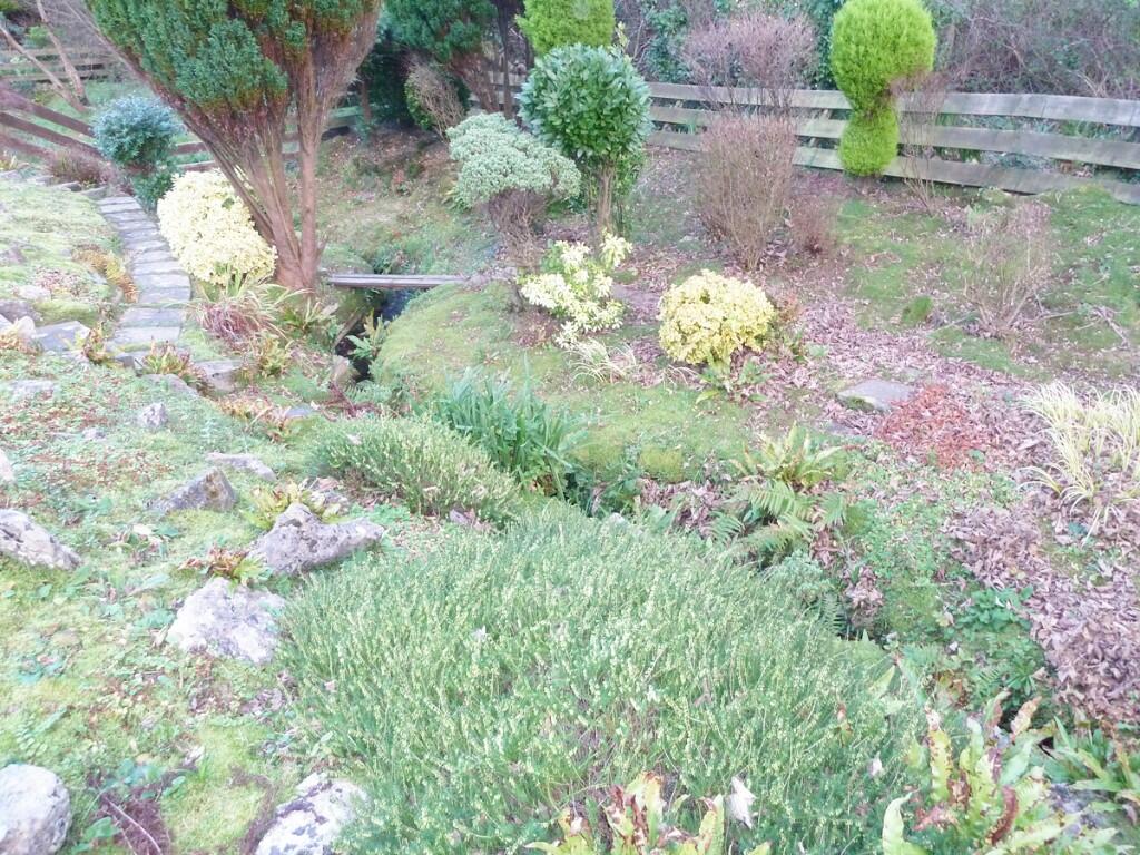 Small stream