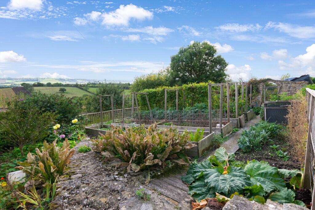 Vegetable garden